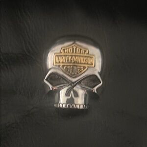 Harley-Davidson Silver and Gold Skull Pin